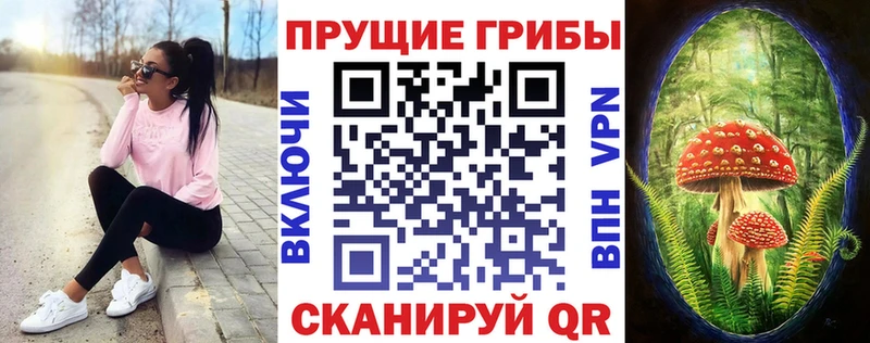 Псилоцибиновые грибы мицелий  Купить  Камбарка 